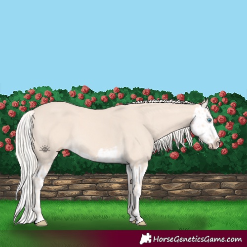 Horse Color:Cremello Splash  and Cremello Splash 
