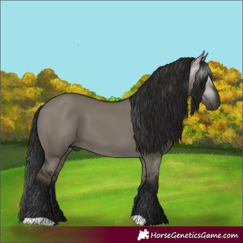 Horse Color:Gray Grullo 