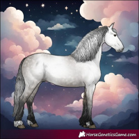 Horse Color:Gray Grullo