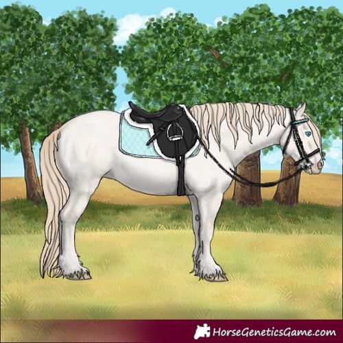 Horse Color:Smoky Creme Roan Dun 