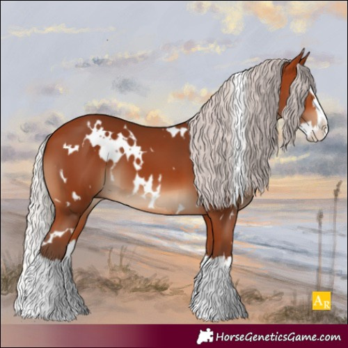 Horse Color:White Spotted Silver Bay Splash 
