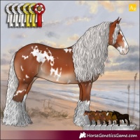 Horse Color:White Spotted Silver Bay Splash 