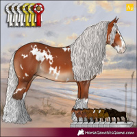 Horse Color:White Spotted Silver Bay Splash