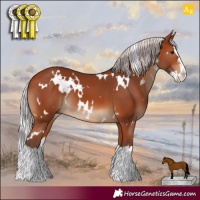Horse Color:White Spotted Silver Bay Splash 