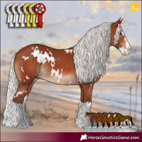 Horse Color:White Spotted Silver Bay Splash 