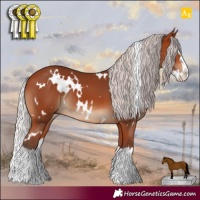 Horse Color:White Spotted Silver Bay Splash 