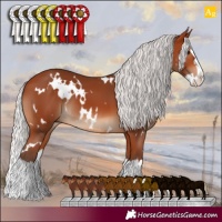 Horse Color:White Spotted Silver Bay Splash 