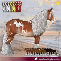 Horse Color:White Spotted Silver Bay Splash
