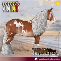Horse Color:White Spotted Silver Bay Splash 