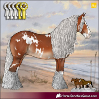 Horse Color:White Spotted Silver Bay Splash 
