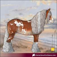 Horse Color:White Spotted Silver Bay Splash 