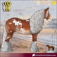 Horse Color:White Spotted Silver Bay Splash