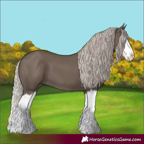 Horse Color:Silver Black Splash 