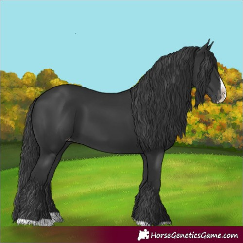 Horse Color:Black Splash Varnish 