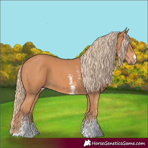 Horse Color:Chestnut Sabino
