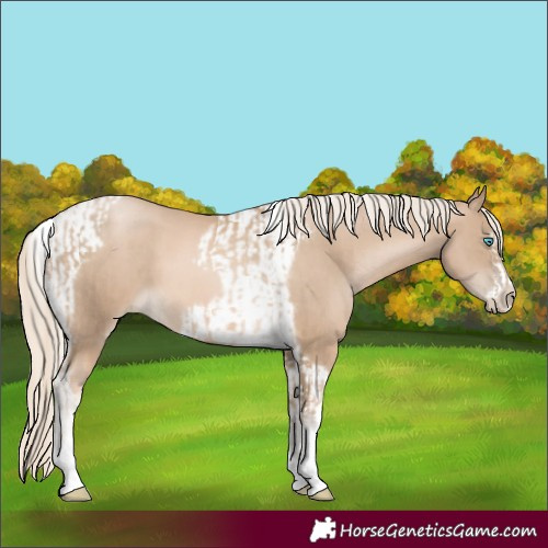 Horse Color:Chocolate Palomino Pearl Tobiano Frame  and Chocolate Palomino Pearl Tobiano Frame 