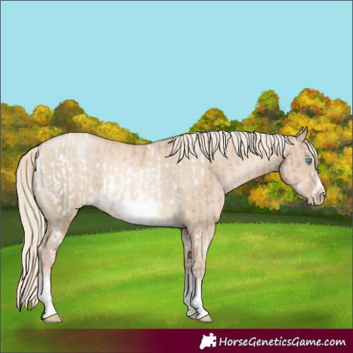 Horse Color:Chocolate Palomino Pearl Tobiano Frame  and Chocolate Palomino Pearl Dun Tobiano Frame 