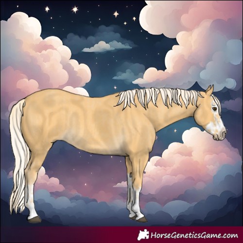 Horse Color:Palomino Rabicano and Palomino Splash Rabicano