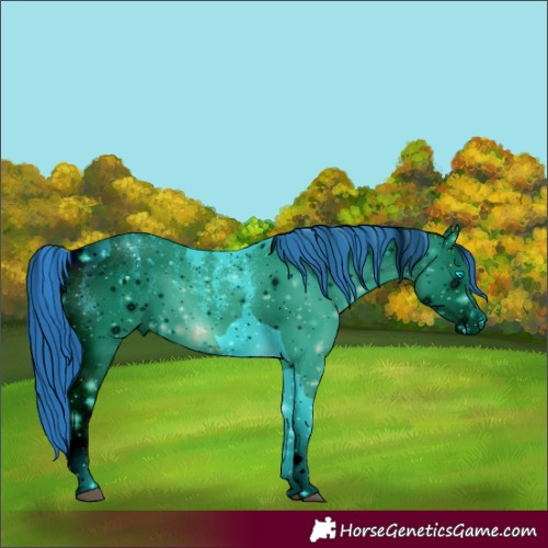 Horse Color:ERROR: UNKNOWN ANOMALY