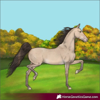 Horse Color:Amber Champagne Dun