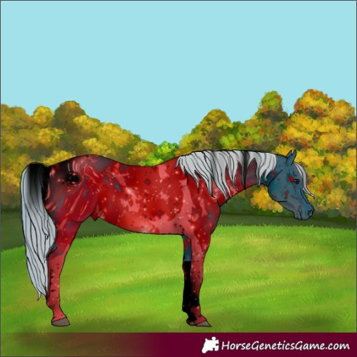 Horse Color:ERROR: UNKNOWN ANOMALY