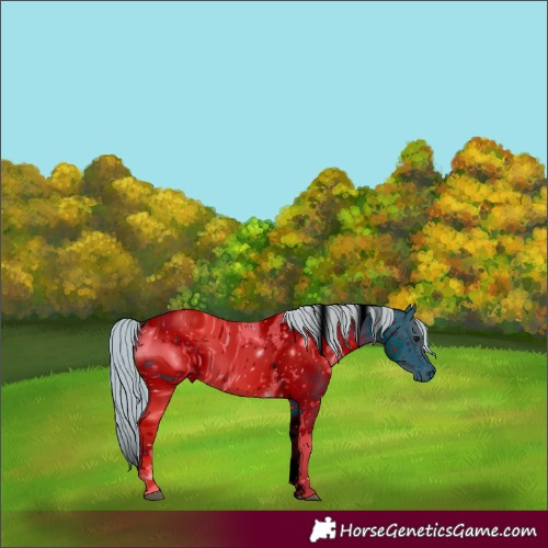 Horse Color:ERROR: UNKNOWN ANOMALY