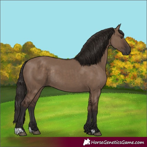 Horse Color:Liver Red Dun Rabicano 