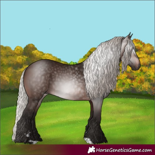 Horse Color:Gray Silver Bay