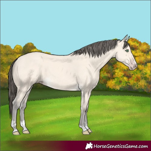 Horse Color:Amber Cream Champagne 