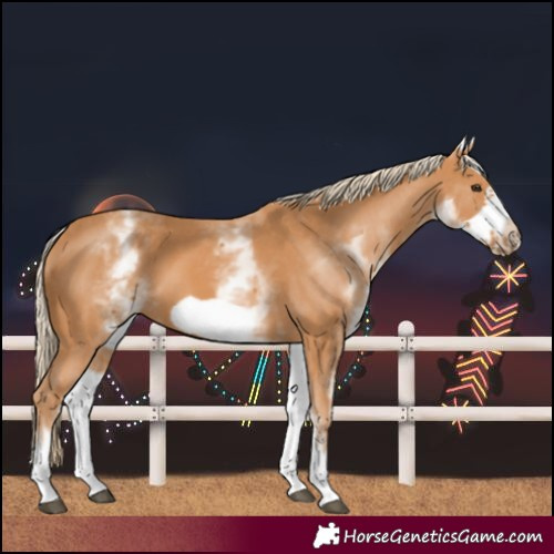 Horse Color:White Spotted Chestnut Frame 