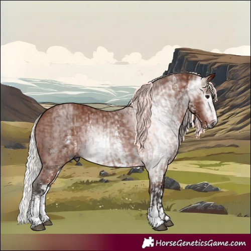 Horse Color:Gray Silver Bay Sabino Rabicano and Gray Silver Bay Sabino Rabicano
