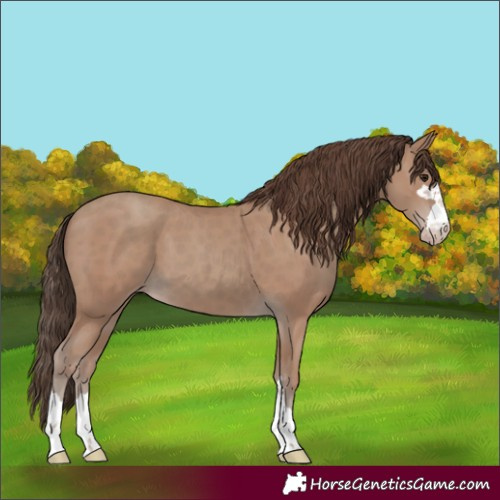 Horse Color:Classic Champagne 