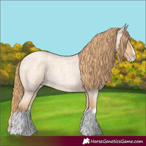 Horse Color:Gold Champagne Roan Splash 