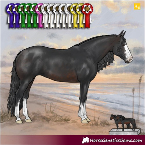 Horse Color:Brown 