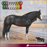 Horse Color:Brown 