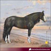 Horse Color:Brown 