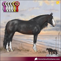 Horse Color:Brown 