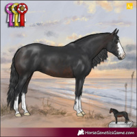 Horse Color:Brown 