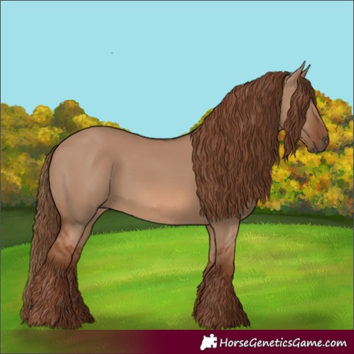 Horse Color:Red Dun