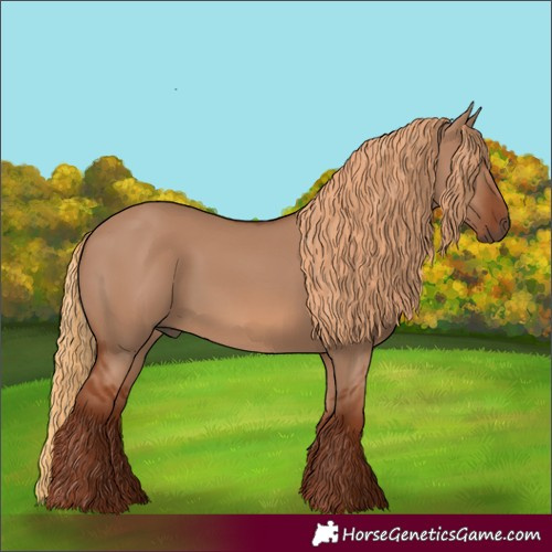 Horse Color:Red Dun 