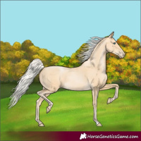 Horse Color:Silver Buckskin Pearl