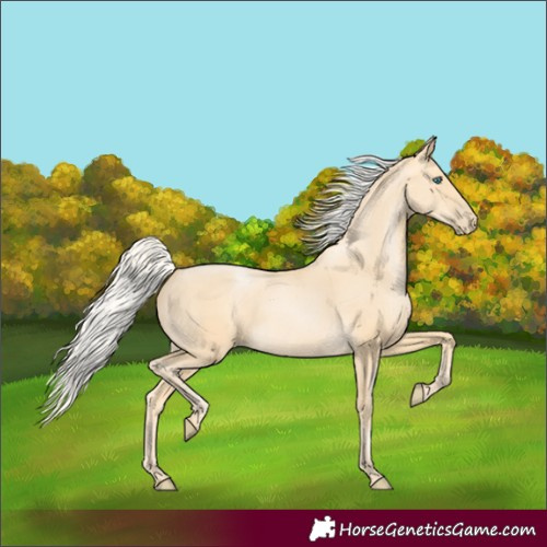 Horse Color:Silver Buckskin Pearl 