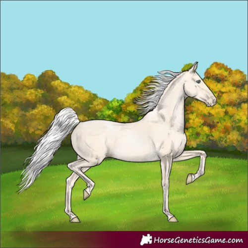 Horse Color:Silver Buckskin Pearl 
