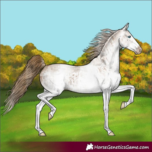 Horse Color:Gray White Spotted Smoky Creme  and Gray White Spotted Smoky Creme Frame 
