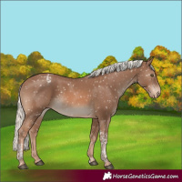 Horse Color:Chestnut Mushroom Tobiano Snowflake Varnish