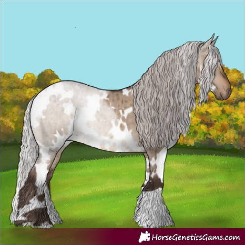 Horse Color:White Spotted Silver Brown Dun Brindle 