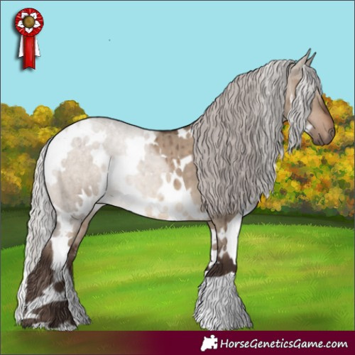 Horse Color:White Spotted Silver Brown Dun Brindle 