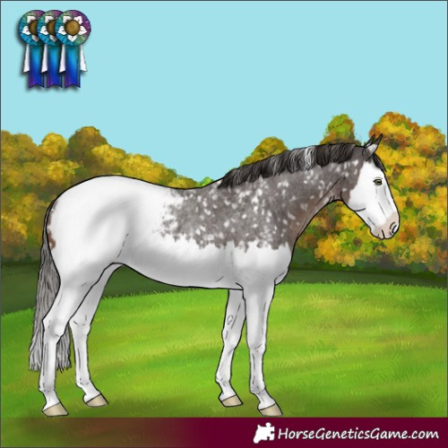Horse Color:Liver Red Roan Splash Snowcap Rabicano 