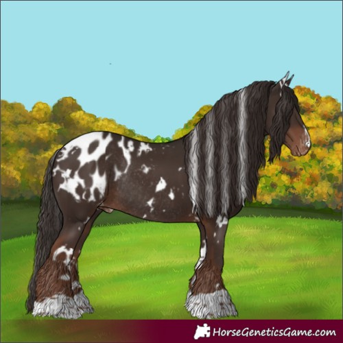 Horse Color:White Spotted Liver Chestnut Appaloosa Rabicano 