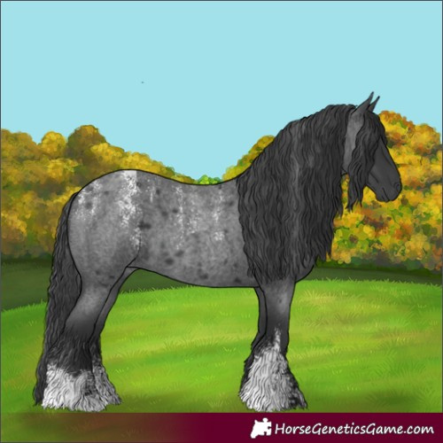 Horse Color:Powder White Blue Roan 